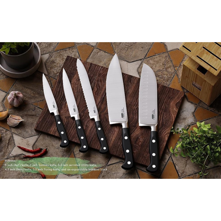 https://assets.wfcdn.com/im/70482996/resize-h755-w755%5Ecompr-r85/2550/255001439/Cooks+Standard+High+Carbon+Stainless+Steel+Kitchen+Knife+Set+with+Block+6-Piece.jpg