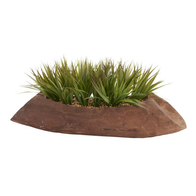 Herbe sauvage dans une bûche de bois