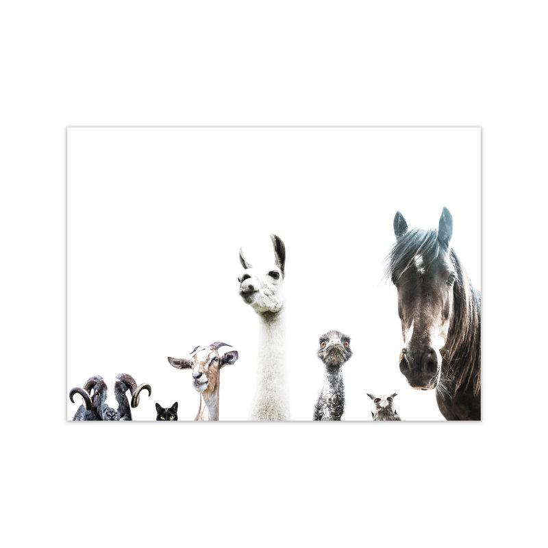 Animal Crew by Victoria Frost - Print, 42cm H x 59cm W x 1cm D, Unframed