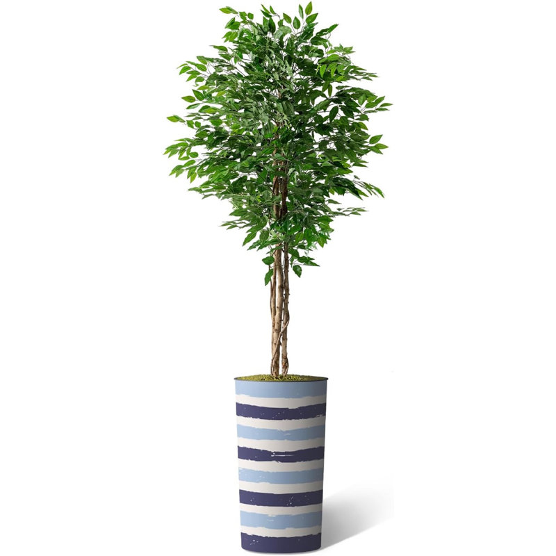 75 plantes, Bleu épais