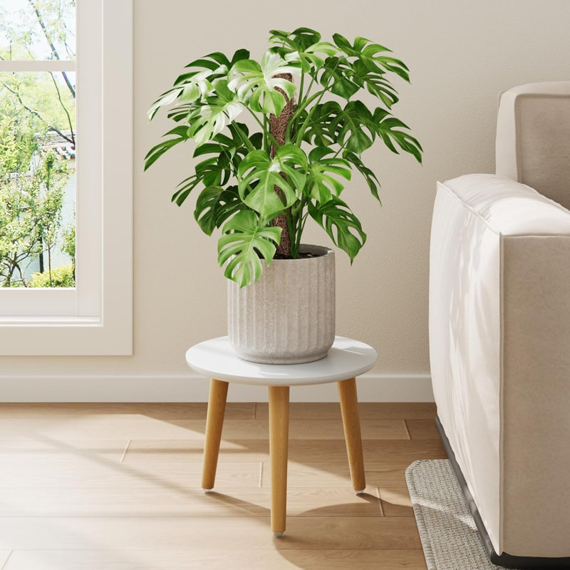 Support à plante pour plantes d'intérieur