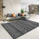 Koleton Area Rug with Non-Slip Backing