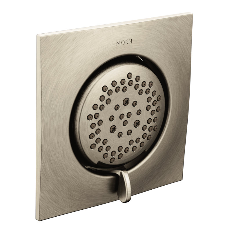 Mosaic Multi Function Adjustable Shower Head, Brushed Nickel