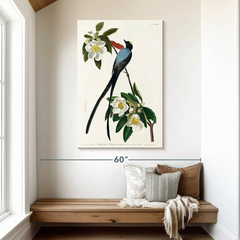 Brampt Fork-Tailed Flycatcher, 48" H x 32" W