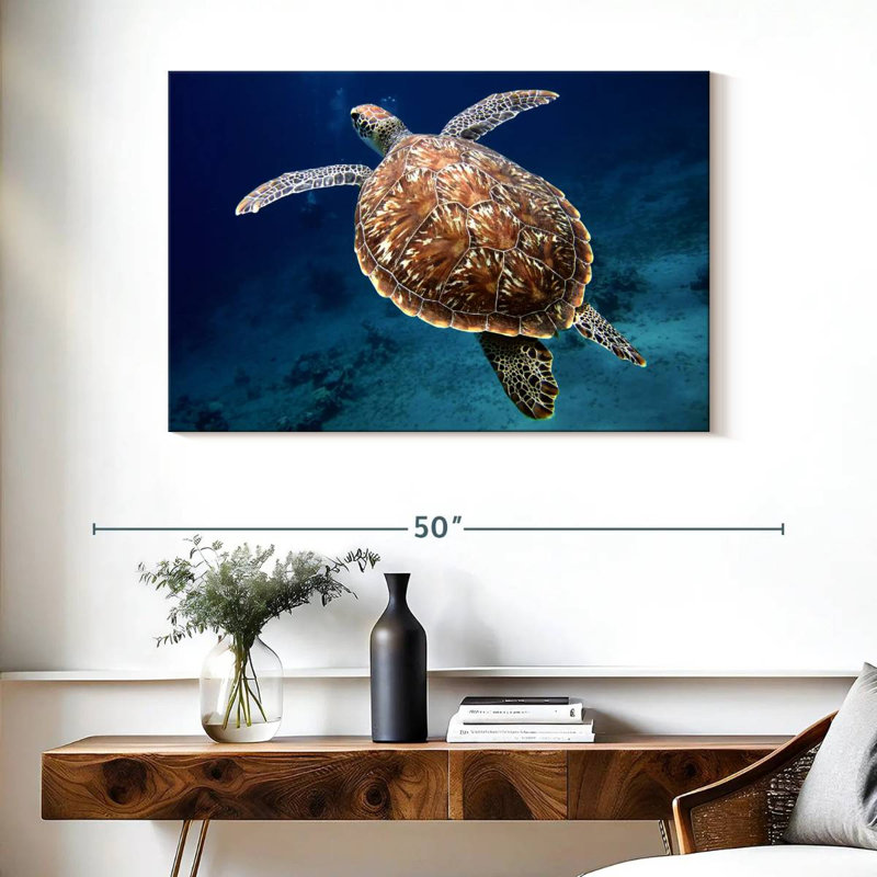 Brampt Swimming Turtle