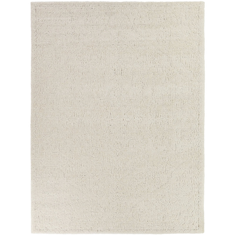 Lycus Beige Distressed Traditional Area Rug, Rectangle 5'3" x 7'