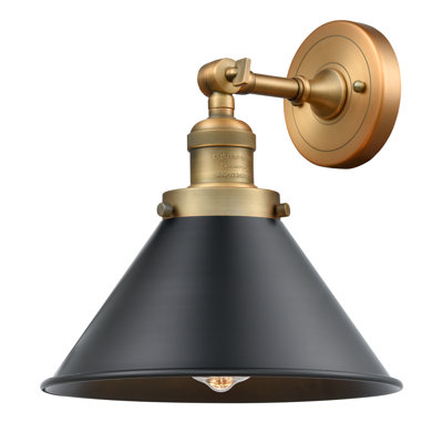 Ariellah Steel Armed Sconce