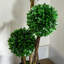 Topiaire de buis artificiel en pot-1231554621-1245143336