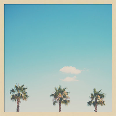 A Trio of Palm Trees Photo Print