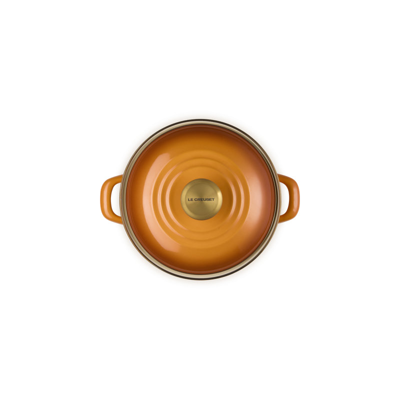 Le Creuset Enamel On Steel Petite Stockpot With Gold Rim, 3.8 Qt. - , Orange