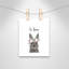 Le lapin est courage-48187575-48187579