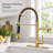 Pull Down Single Handle Kitchen Faucet with Accessories-91478324