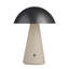 Struzzo Rechargeable Accent Lamp