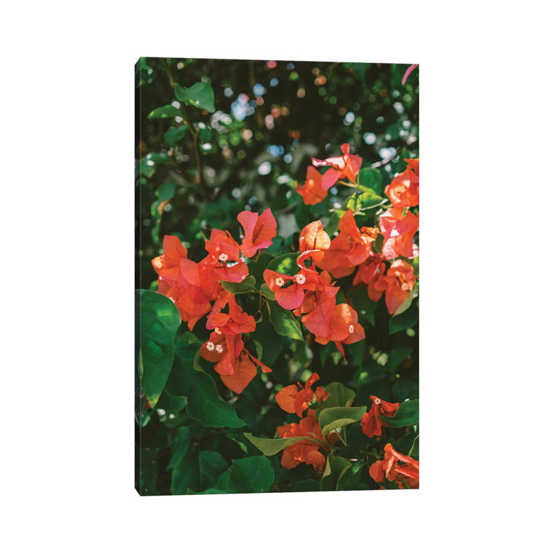 Tropical Hawaii IV by Bethany Young - Print on Canvas, Wrapped Canvas, 152.4cm H x 101.6cm W x 3.81cm D