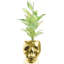 Handmade Pot Planter-52454985