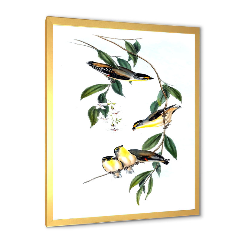 Oiseau rétro III - peinture sur toile, H 40 po x l 30 po x 1,5 po, Cadre doré