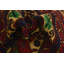 Tapis doré Orcutt