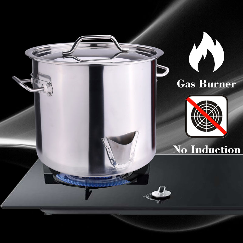 20 Quart Stainless Steel Steamer Pot with Basket Insert