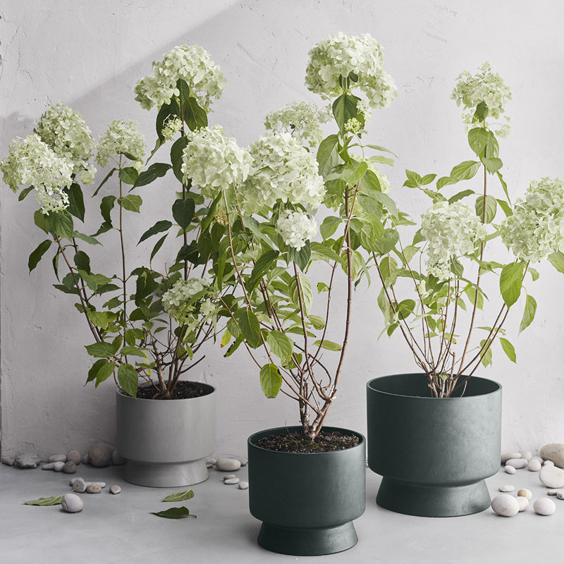 Pot à fleurs en plastique recyclé, Vert, H 10,4 po x l 11,8 po x P 11,8 po