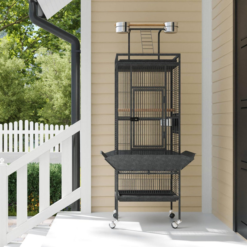 Volière roulante en métal de 152 cm de hauteur avec support – Intérieur/Extérieur pour perroquets et perruches, noire, Noir