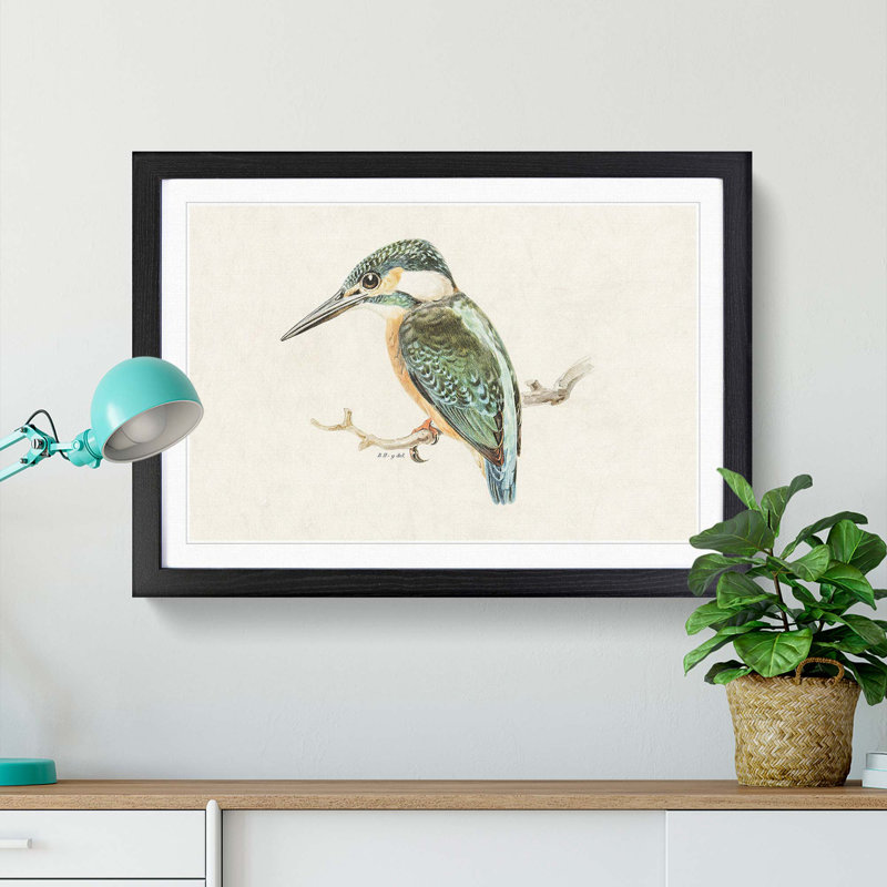 Kingfisher by Von Wright - Picture Frame Graphic Art Print, 36cm H x 48cm W x 2cm D, Black Framed