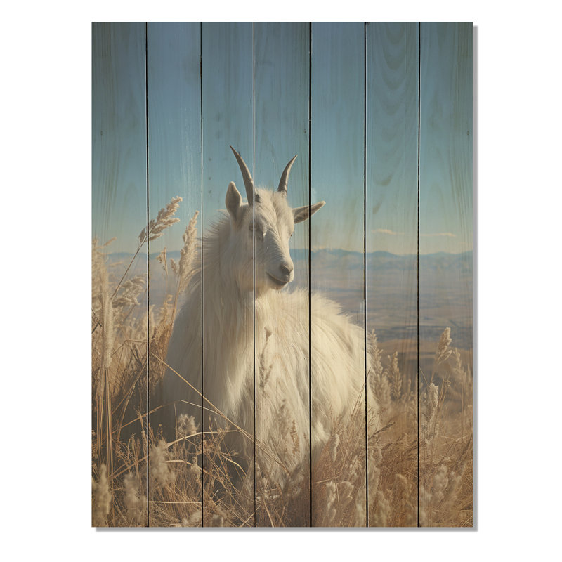 Chèvre blanche solitaire - Chèvre sur bois, H 20 po x l 10 po