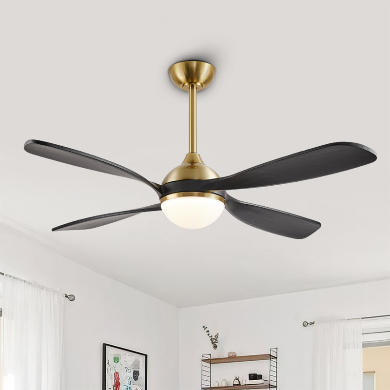Blandino 54'' Ceiling Fan with LED Lights, Black/Gold
