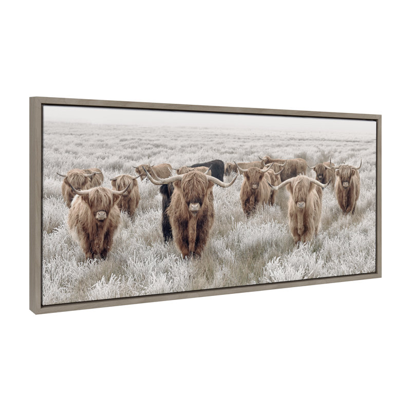 Herd of Highland Cows Color by The Creative Bunch Studio Framed Canvas Wall Art Print