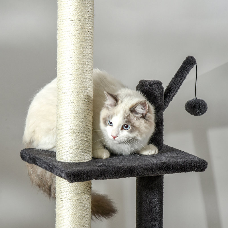 Arbre à chat, jouet d'escalade du sol au plafond avec panneau à griffer, hamac, boule suspendue