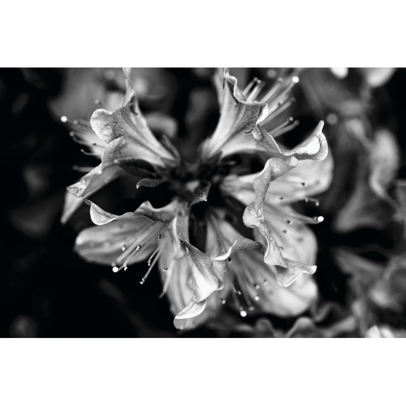 Poetry VII by Tang Ling - No Frame Print on Canvas, 30cm H x 46cm W