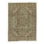 Castilian II Oriental Area Rug