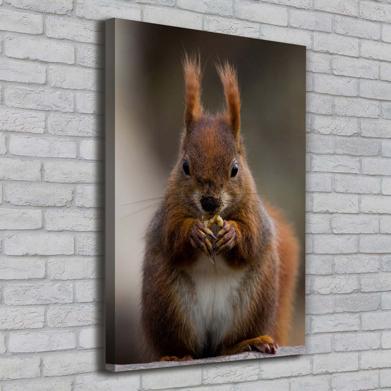 Squirrel - Wrapped Canvas Print