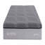 Noyau hybride 12 po-1425090654-1425090653
