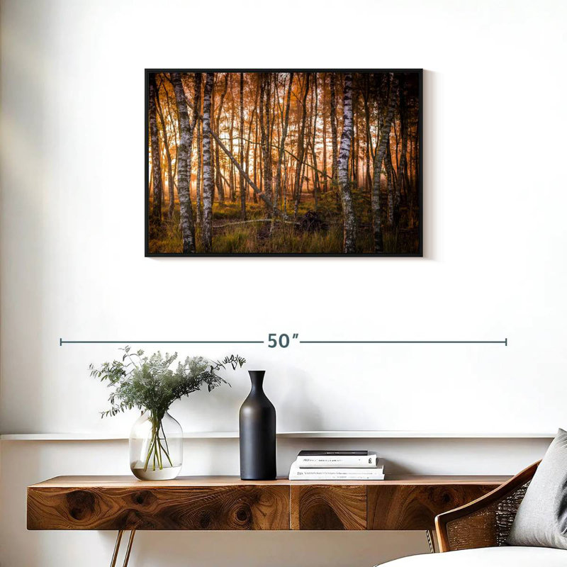 Forêt de bouleaux sombre, Cadre flottant noir, 31 po x 21 po