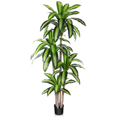 Adcock Artificial Dracaena Tree in Pot, Faux Dracaena Plant, Fake Tree for Home Décor