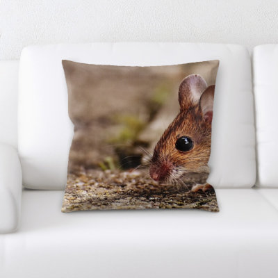 Microsuede Throw Pillow