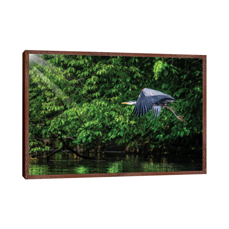 Big Blue In Green by David Gardiner - Wrapped Canvas Print, 66.04 cm H x 45.72 cm W, Brown Framed