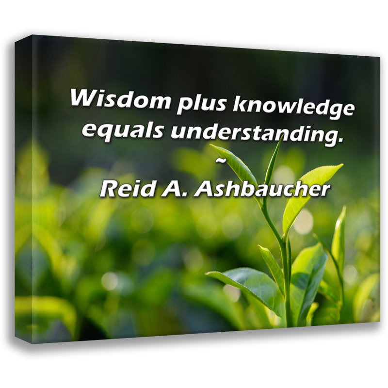 Trinx Gallery Wrapped Canvas By Reid A. Ashbaucher: "Wisdom plus knowledge equals understandi