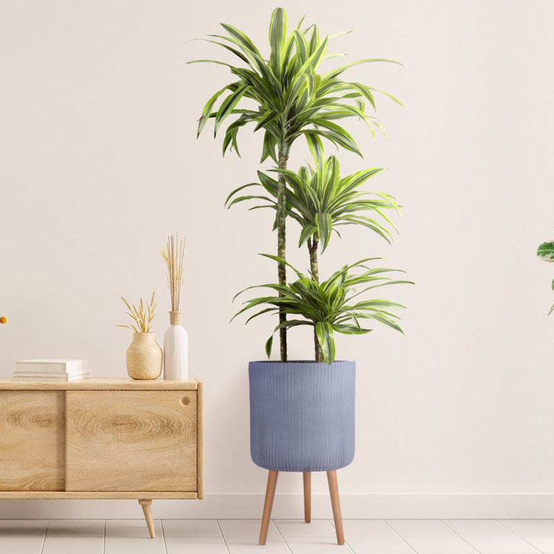 Ribbed Cylinder Planter with Feet, Grey, 64cm H x 37cm W x 37cm D
