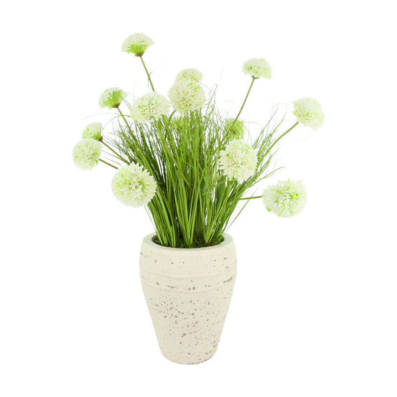 Dahlias in Decorative Pot
