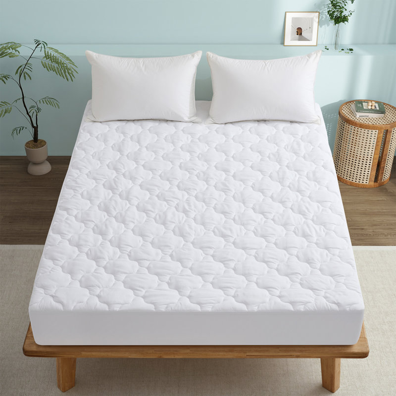 Raymond Waterproof Fitted Mattress Protector Case Pack, Queen