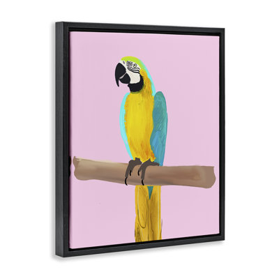 Bright Parrot on Pink Black Framed Floater Canvas Wall Art by Ashley Singleton