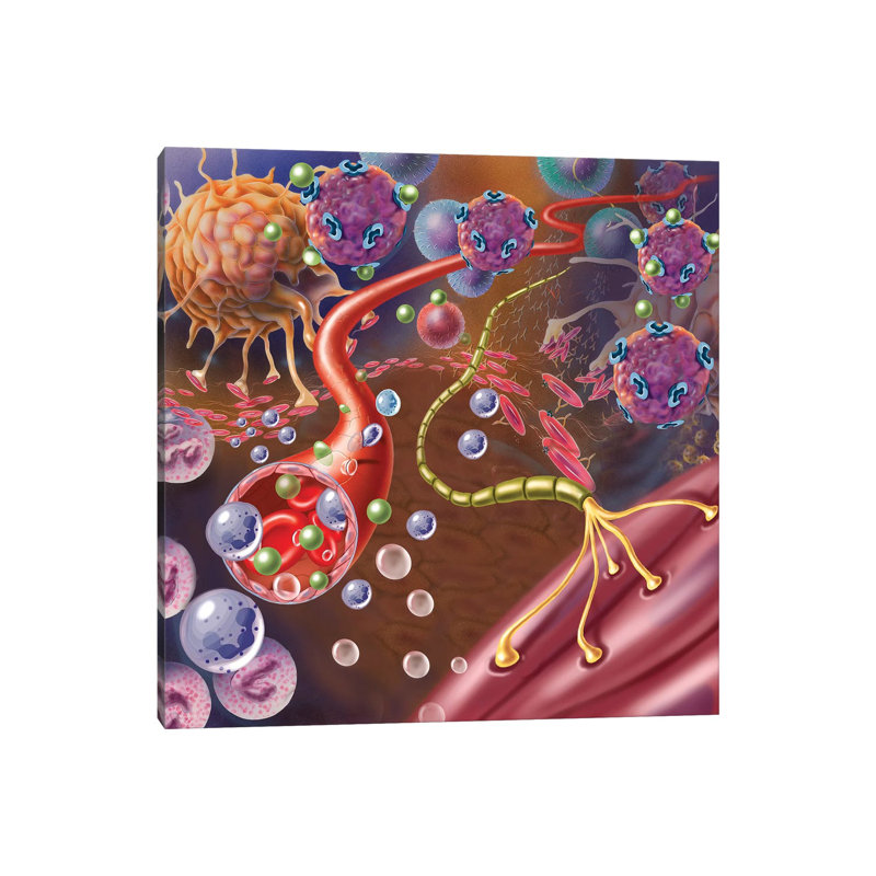 Nerve With Myelin Sheath, Seen In Lower Right, Connects With Muscle by TriFocal Communications - Wrapped Canvas Painting