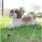 Shih Tzu Lying Down Statue