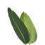 Tall Artificial Banana Leaf Tree Faux Large Plants in Pot-717045482