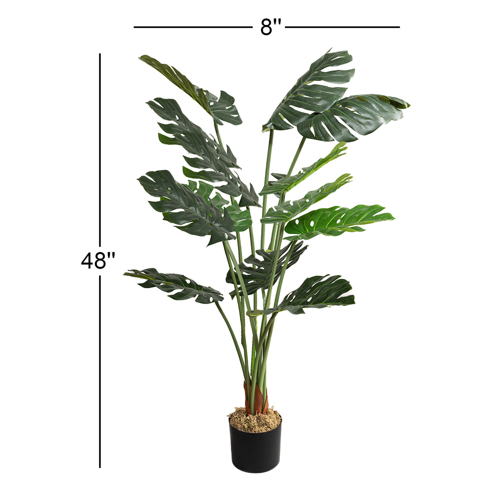 Monstera Plant in Pot, 48" H x 8" W x 8" D, 2