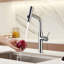 Belfry Kitchen Mallouk Pull Out Kitchen Faucet-1434976702