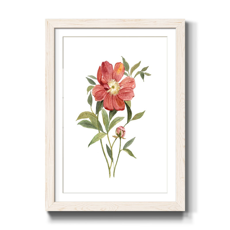 Pivoine écarlate - cadre photo, reproduction d'art sur papier, H 44 po x l 31 po x P 1 po, Cadre blanc