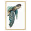 Grande tortue de mer - reproduction de cadre photo-64010136-64010131
