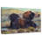 Brampt Sagebrush Siesta-107845629